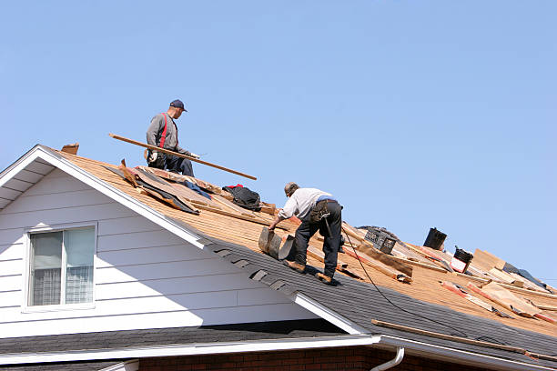 Best Roof Leak Repair  in Babbitt, MN